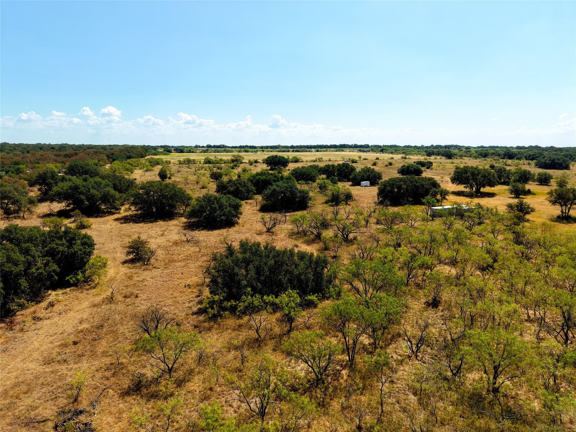 20 acres in Eastland County - photo 6