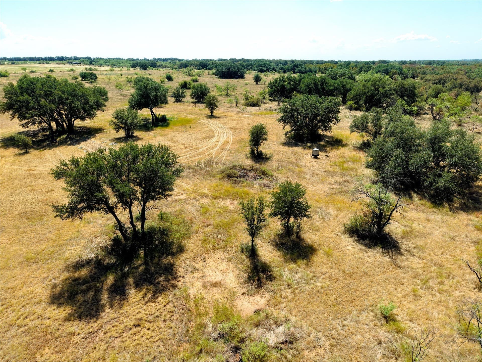 20 acres in Eastland County - photo 11