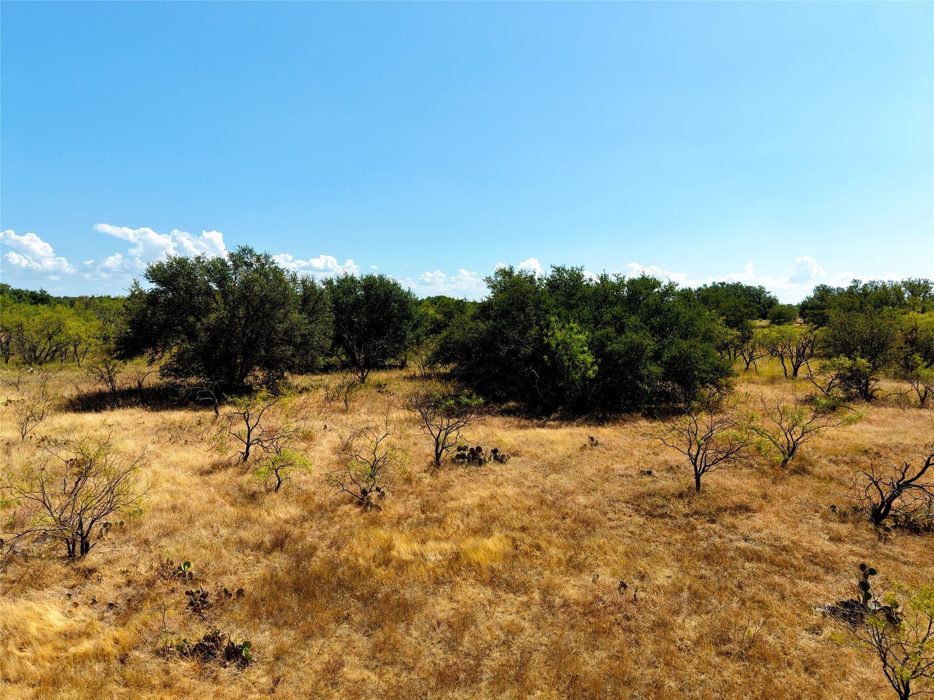 20 acres in Eastland County - photo 4