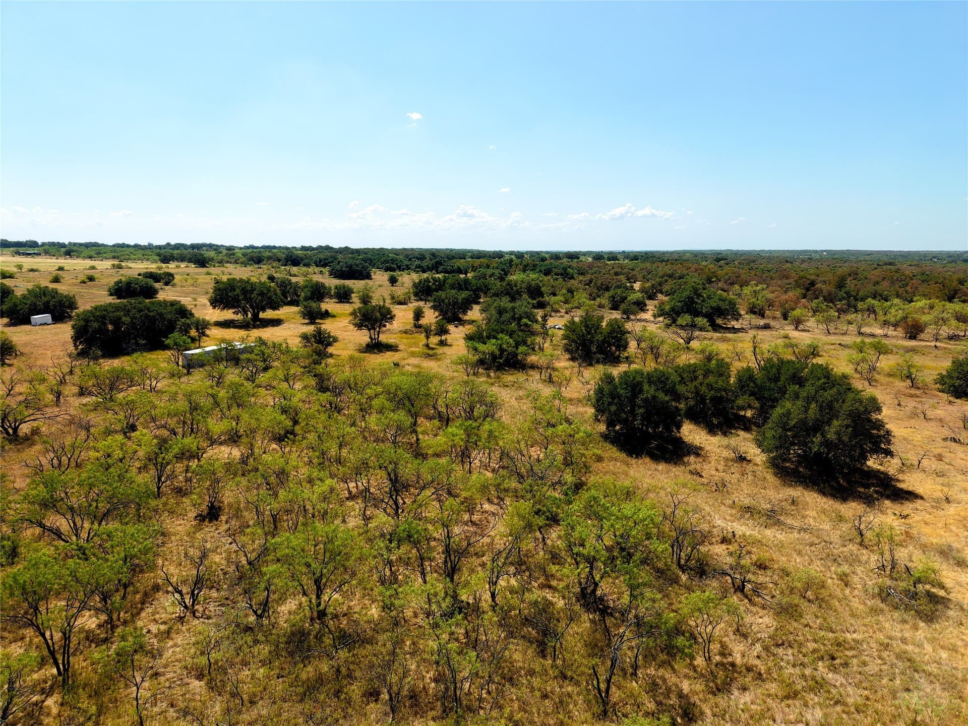 20 acres in Eastland County - photo 7