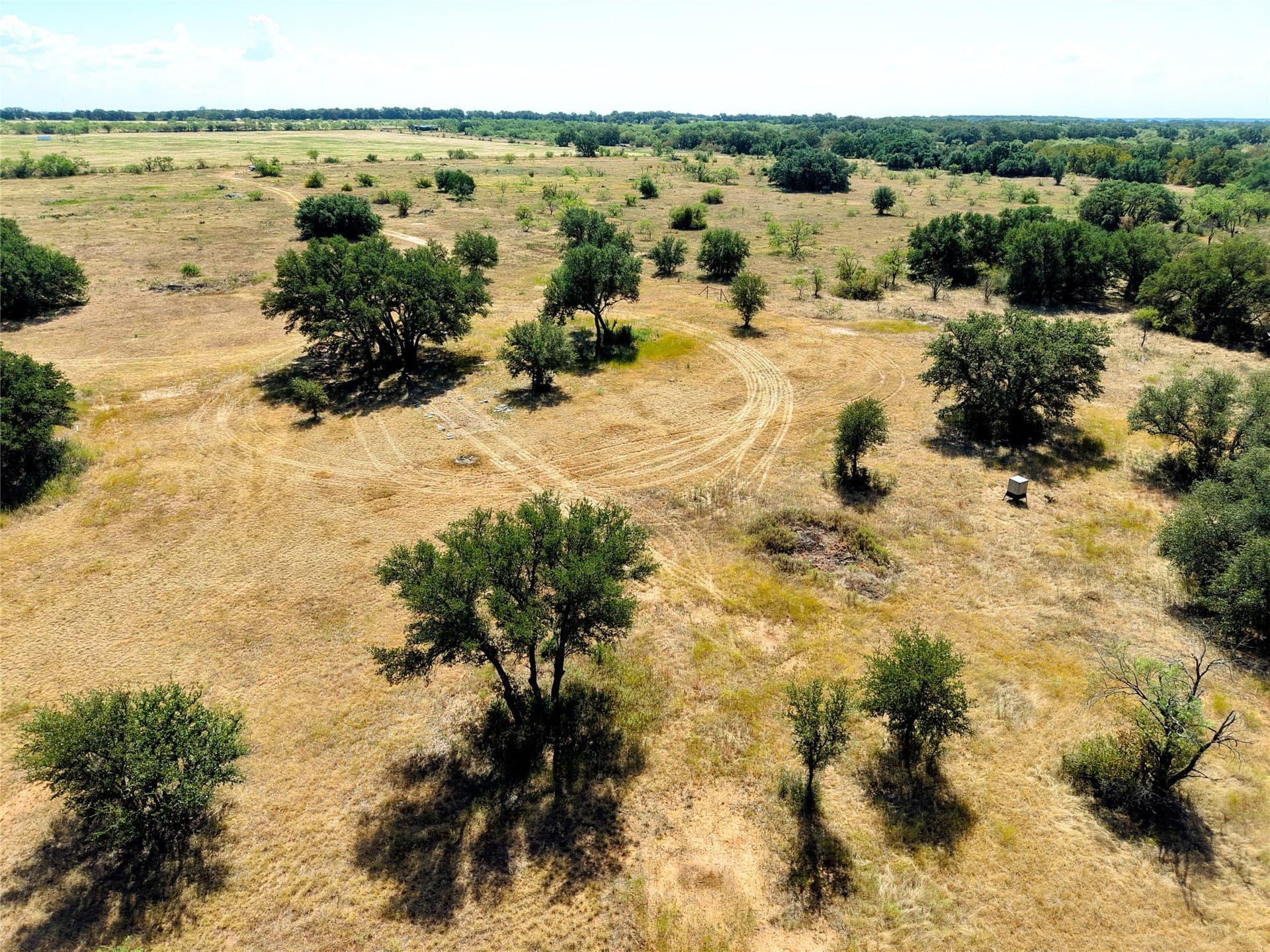 20 acres in Eastland County - photo 12