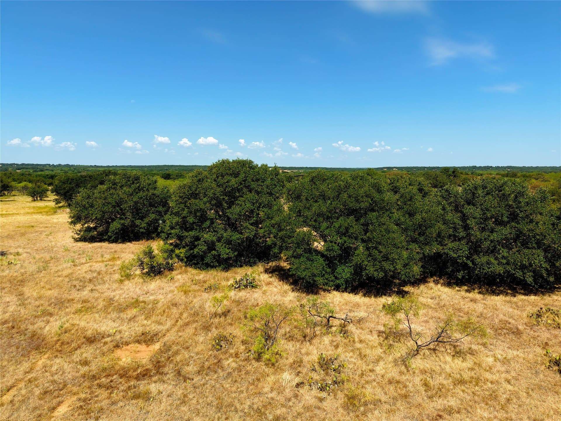 20 acres in Eastland County - photo 8