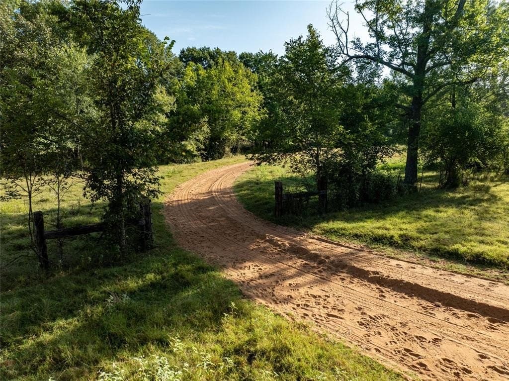 192.3 acres in Red River (TX) County gallery image 4