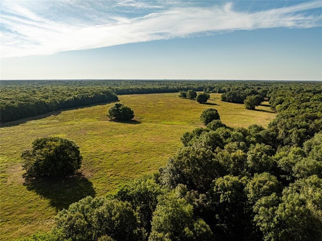 192.3 acres in Red River (TX) County gallery image 3