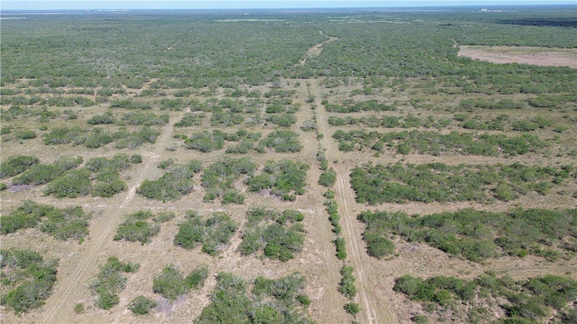 408.58 acres in Jim Wells County featured view