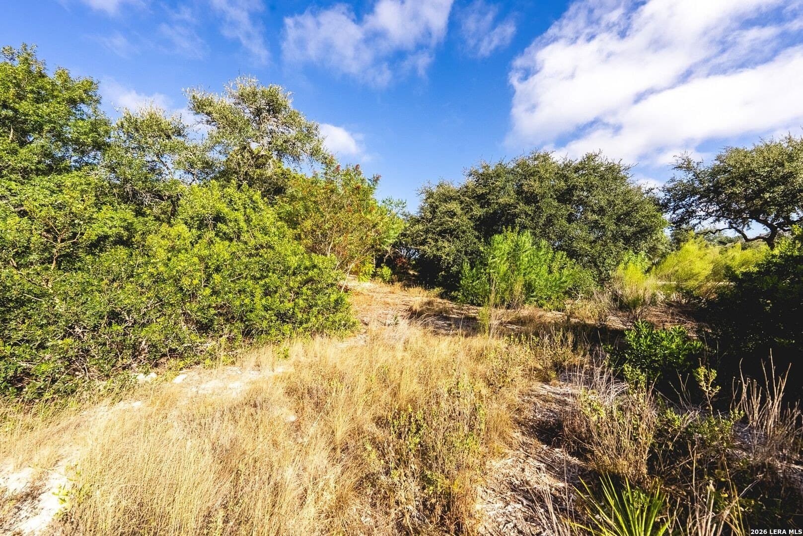 0.52 acres in Bexar County - photo 27