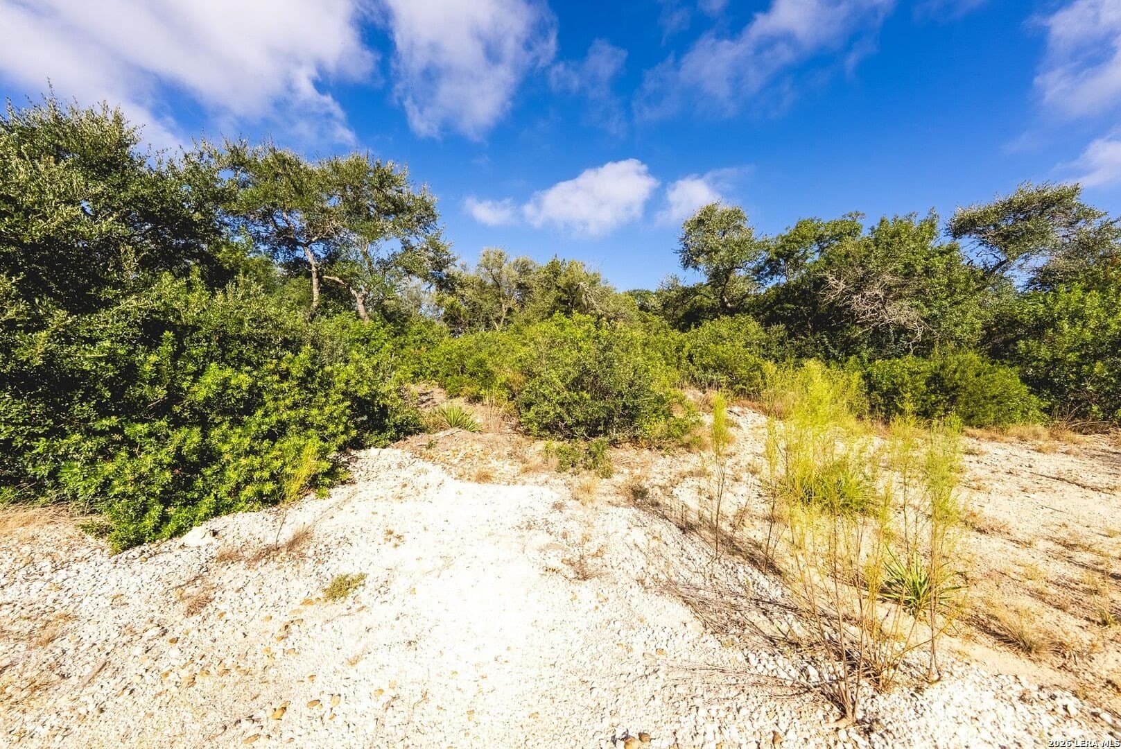 0.52 acres in Bexar County - photo 28