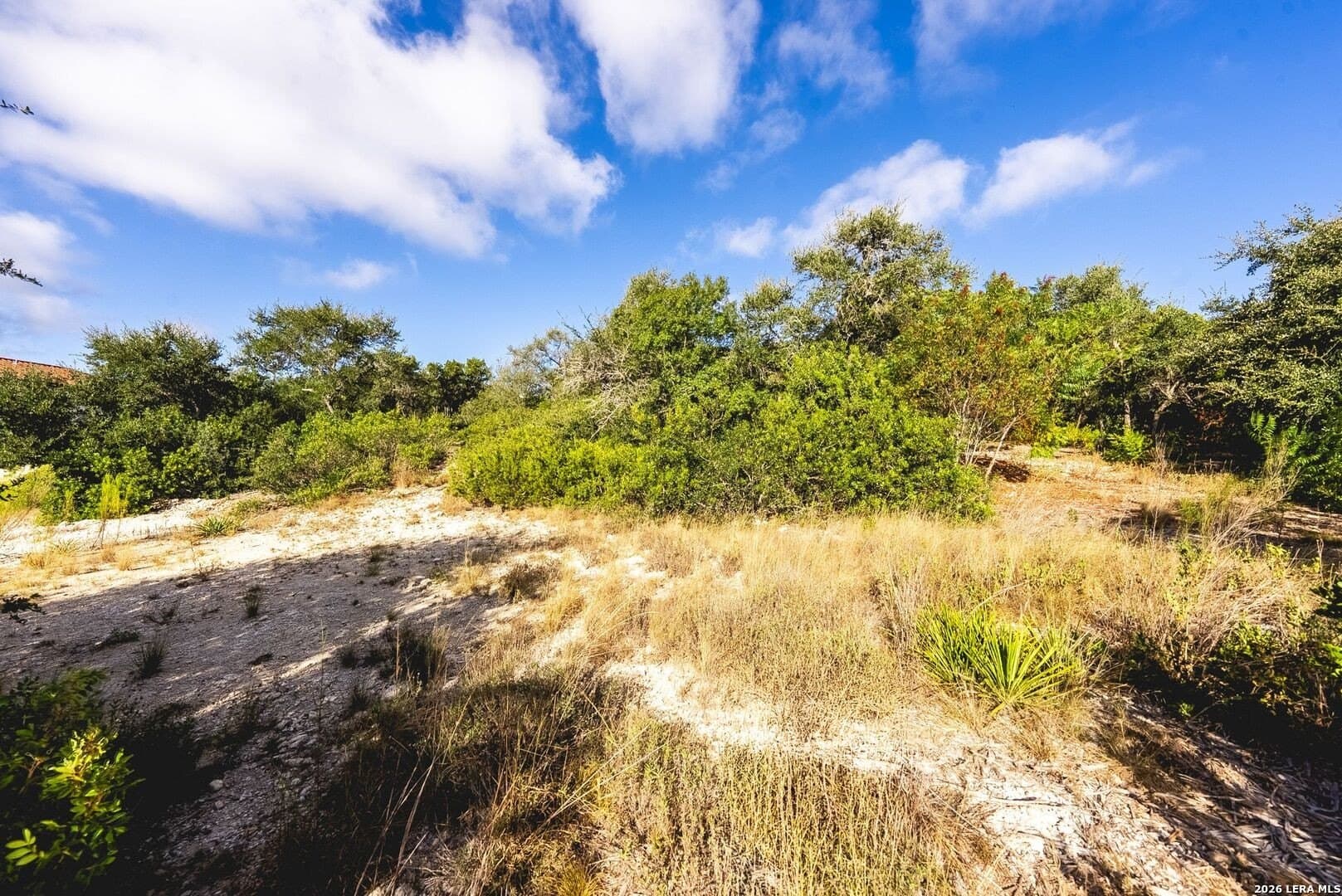 0.52 acres in Bexar County - photo 26