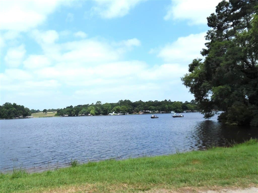 0.21 acres in Van Zandt County - photo 12