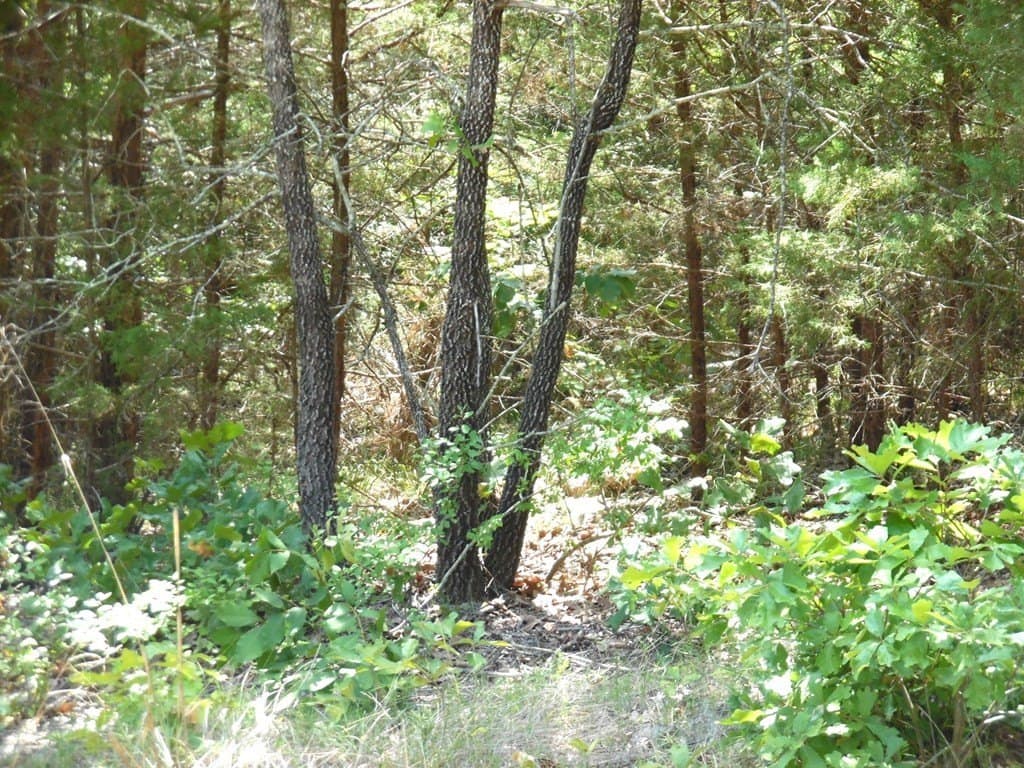 0.21 acres in Van Zandt County - photo 7