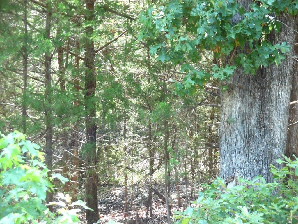 0.21 acres in Van Zandt County featured view