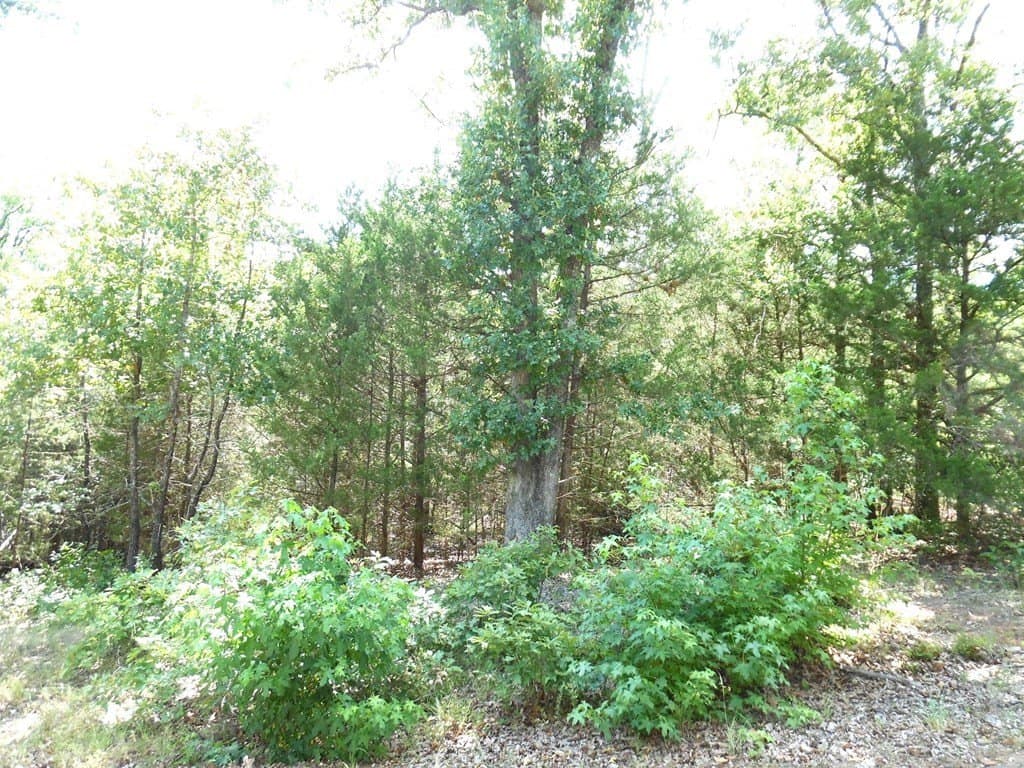 0.21 acres in Van Zandt County gallery image 3