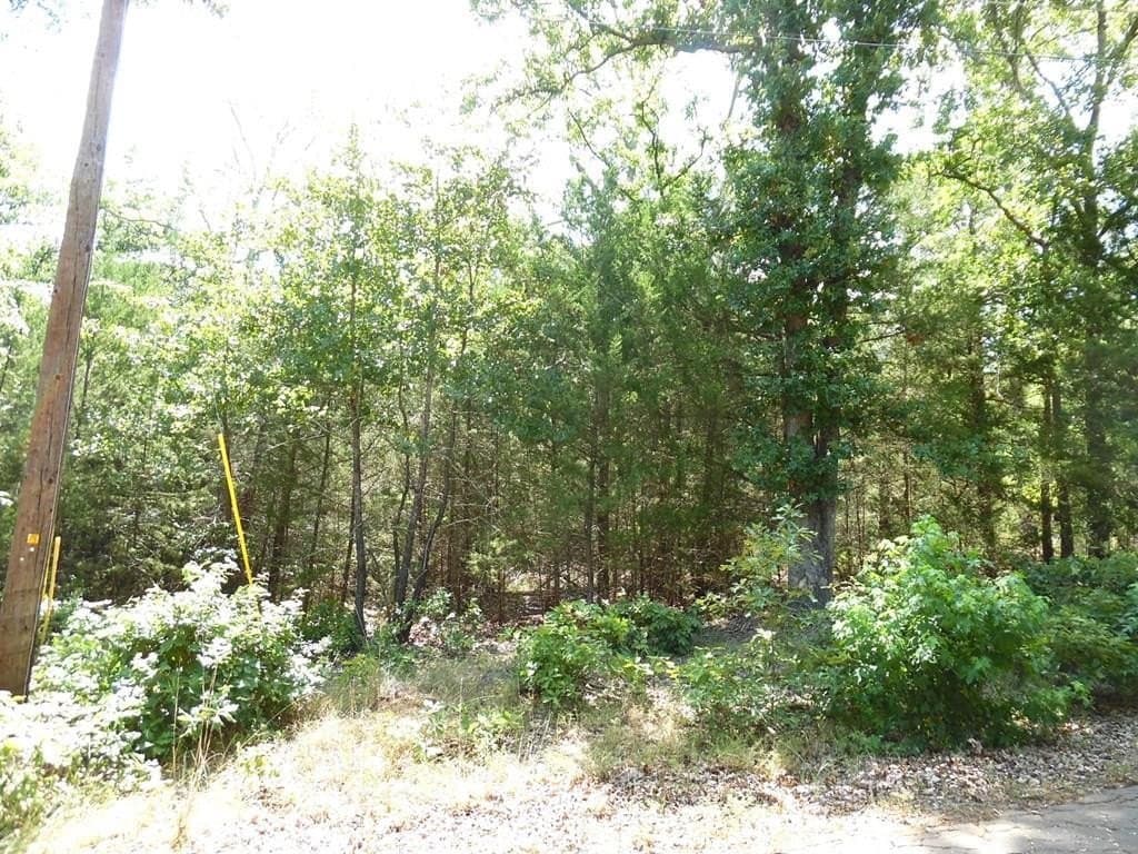 0.21 acres in Van Zandt County gallery image 2