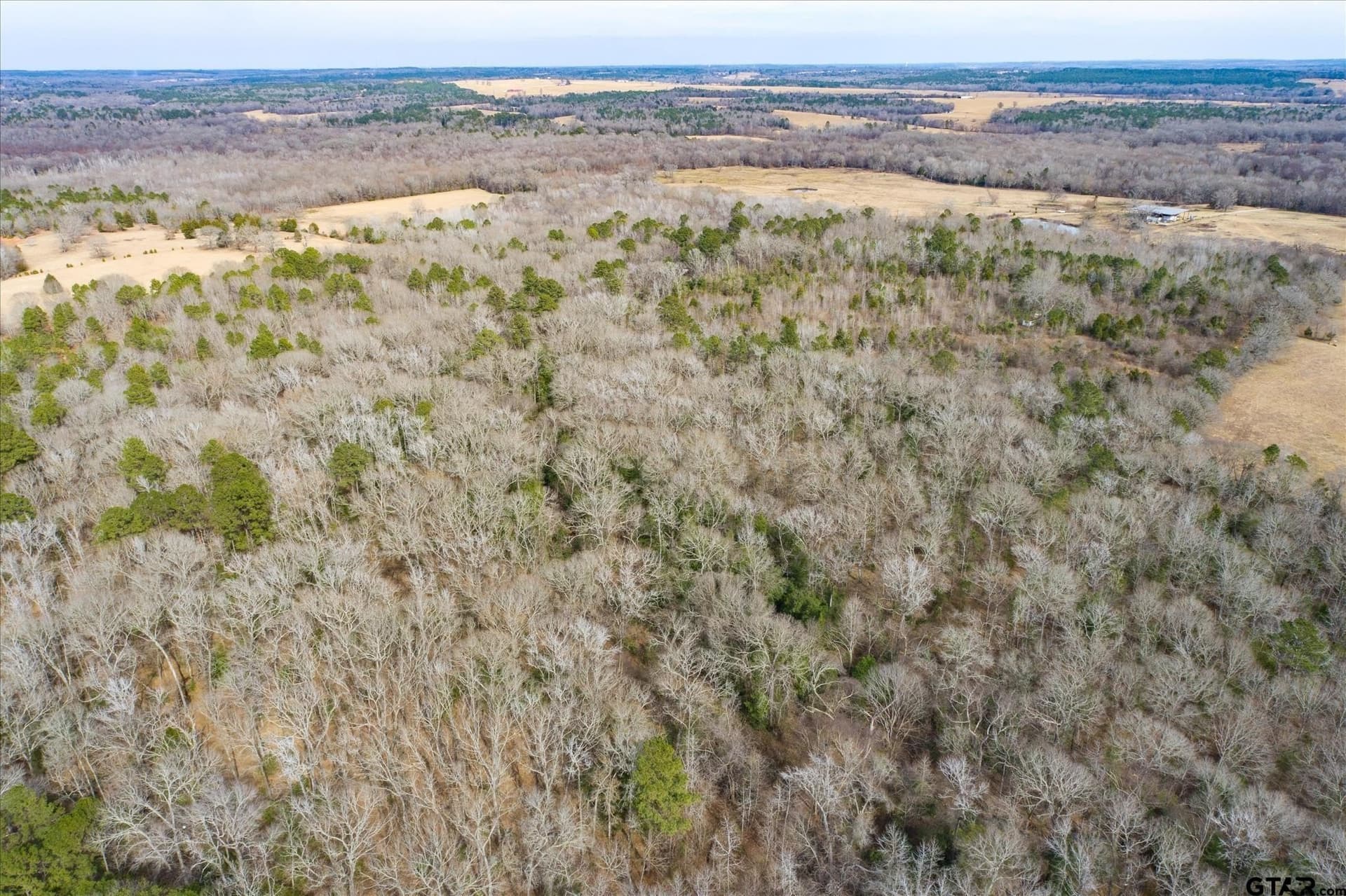 13.3 acres in Van Zandt County - photo 9