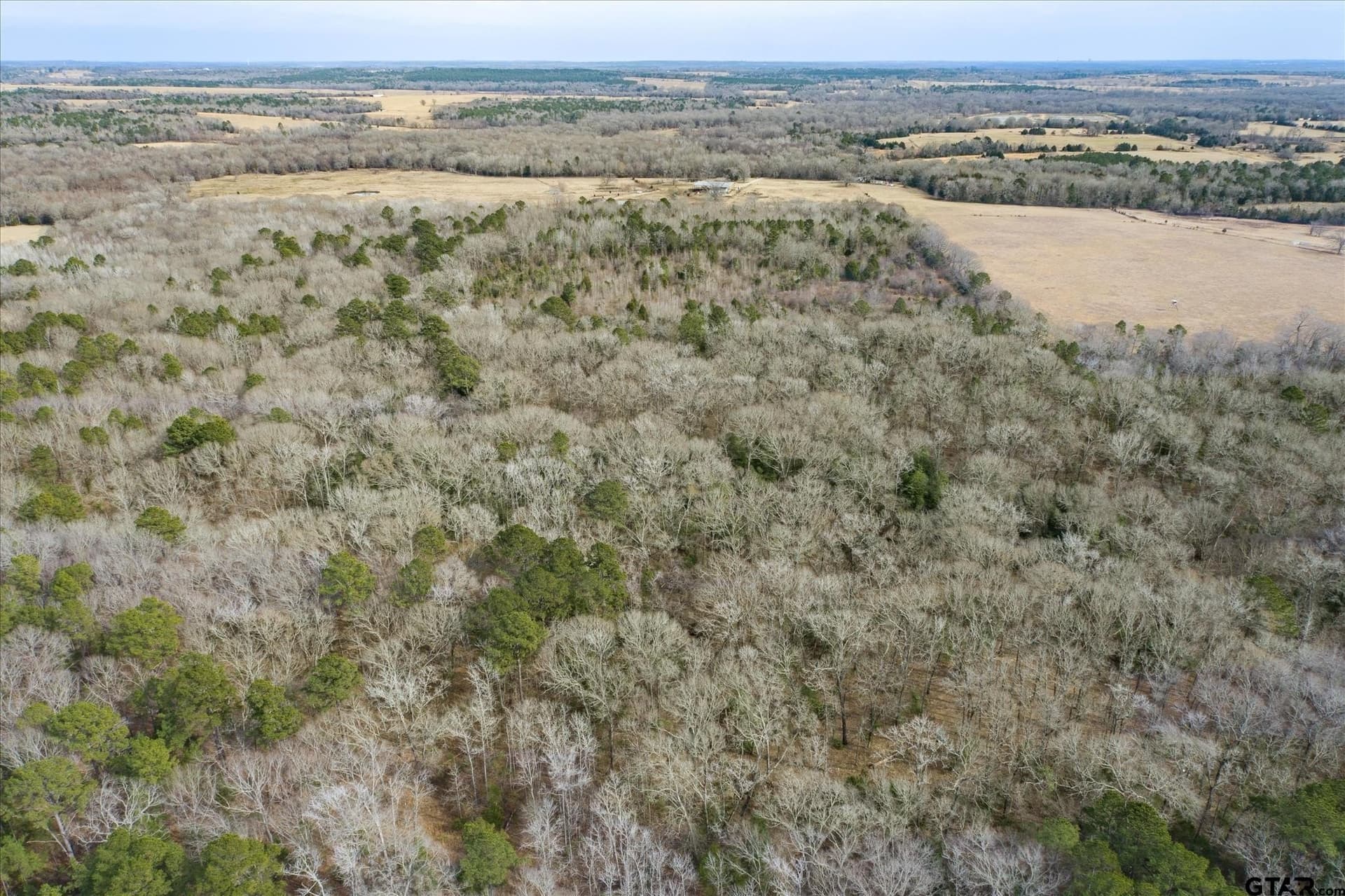 13.3 acres in Van Zandt County - photo 8