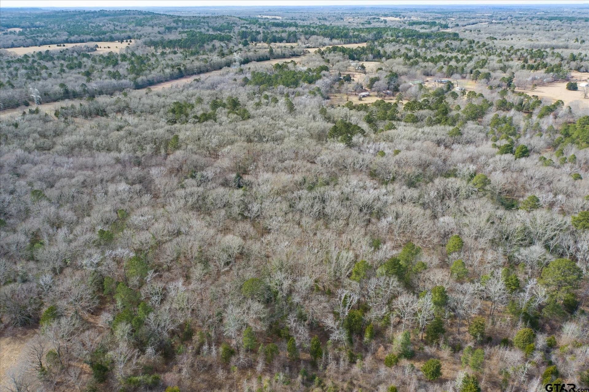 13.3 acres in Van Zandt County - photo 7