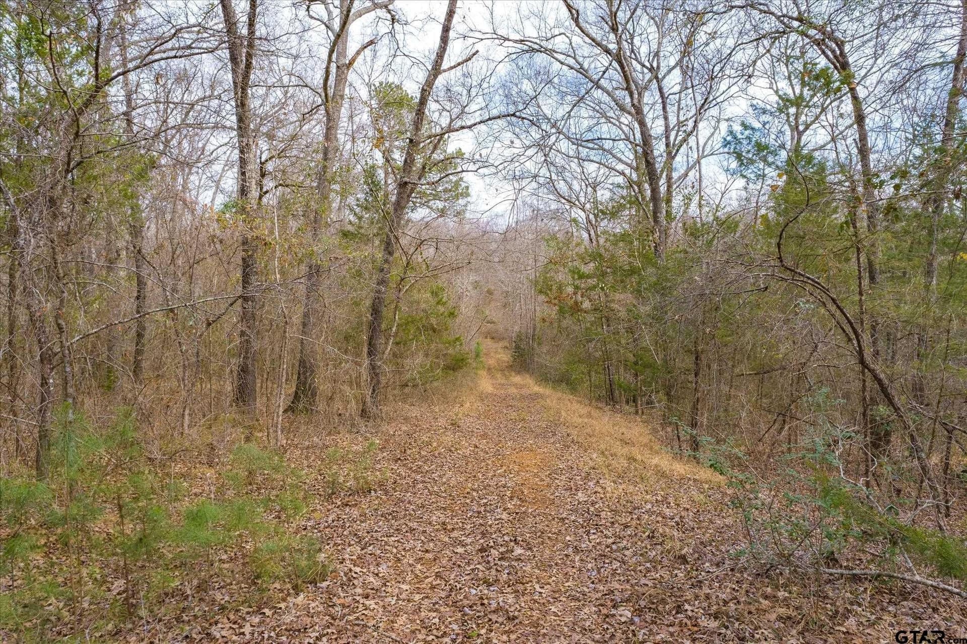 13.3 acres in Van Zandt County - photo 15