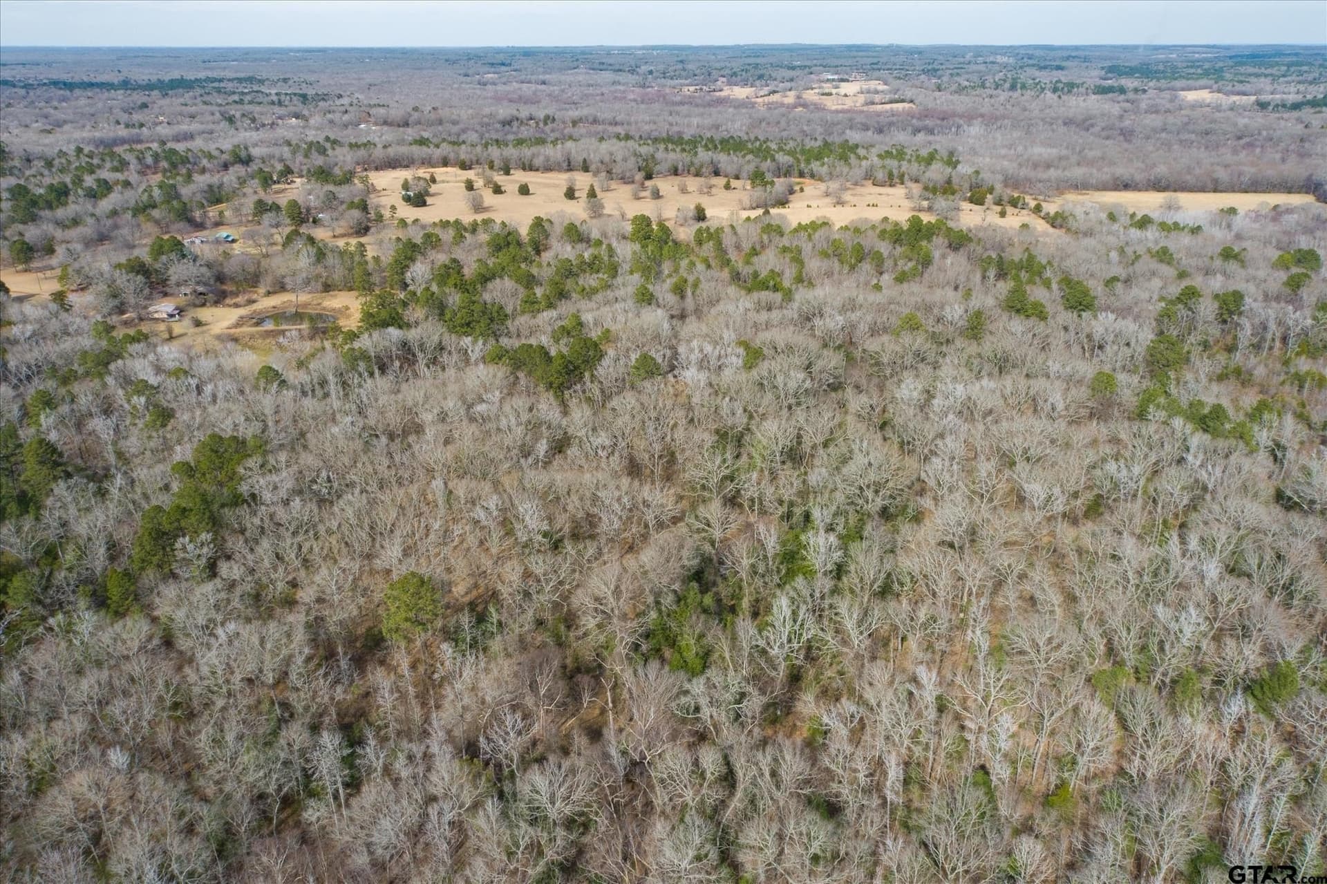 13.3 acres in Van Zandt County gallery image 4