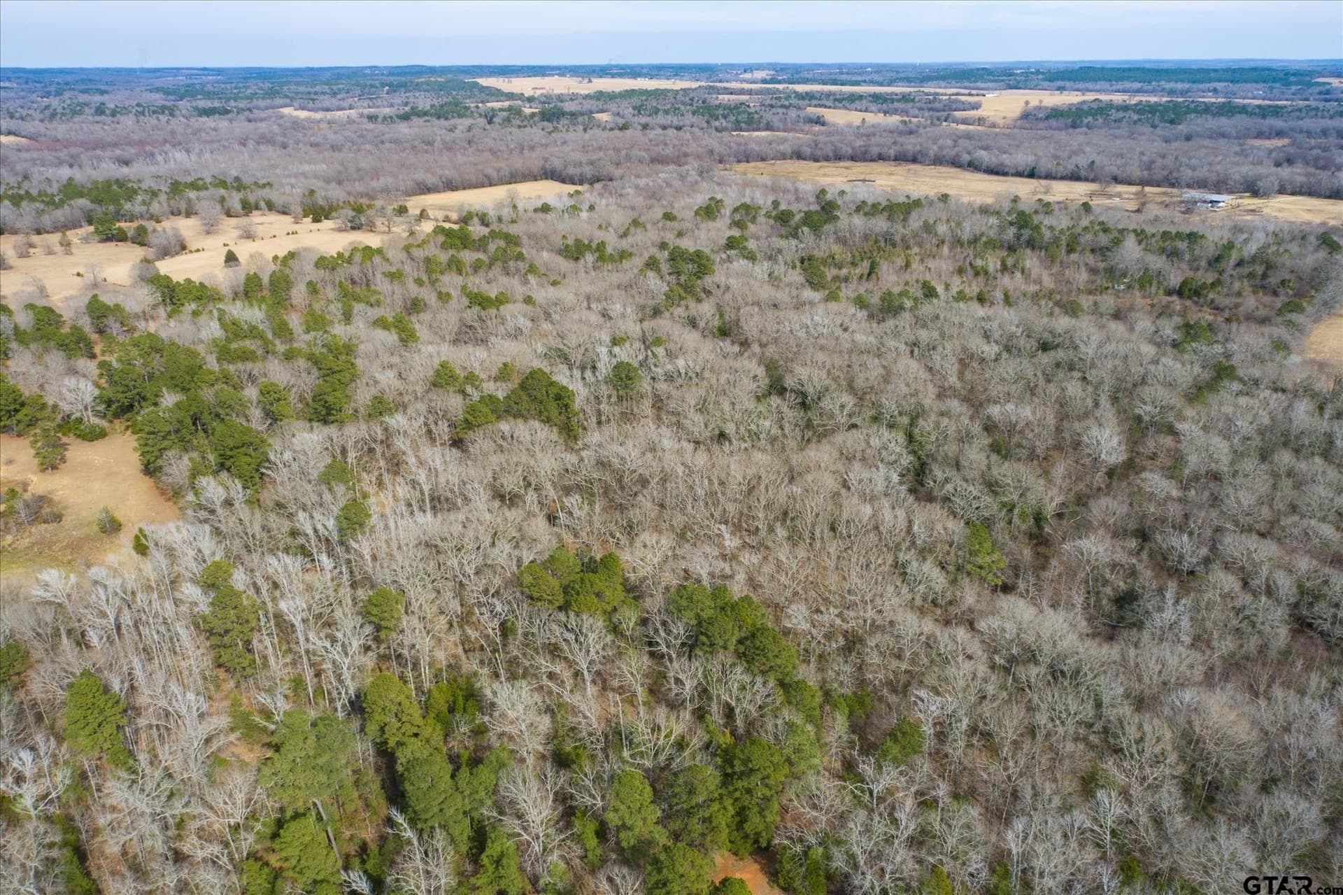 13.3 acres in Van Zandt County gallery image 3