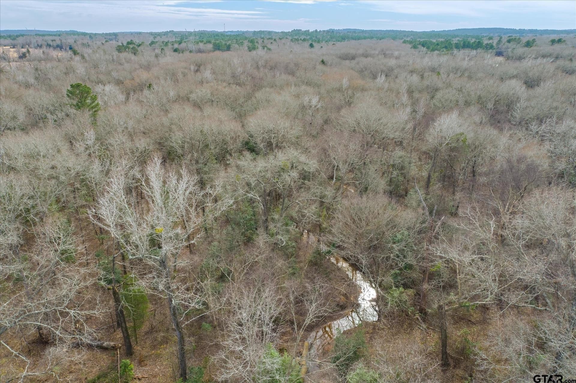 13.3 acres in Van Zandt County - photo 14