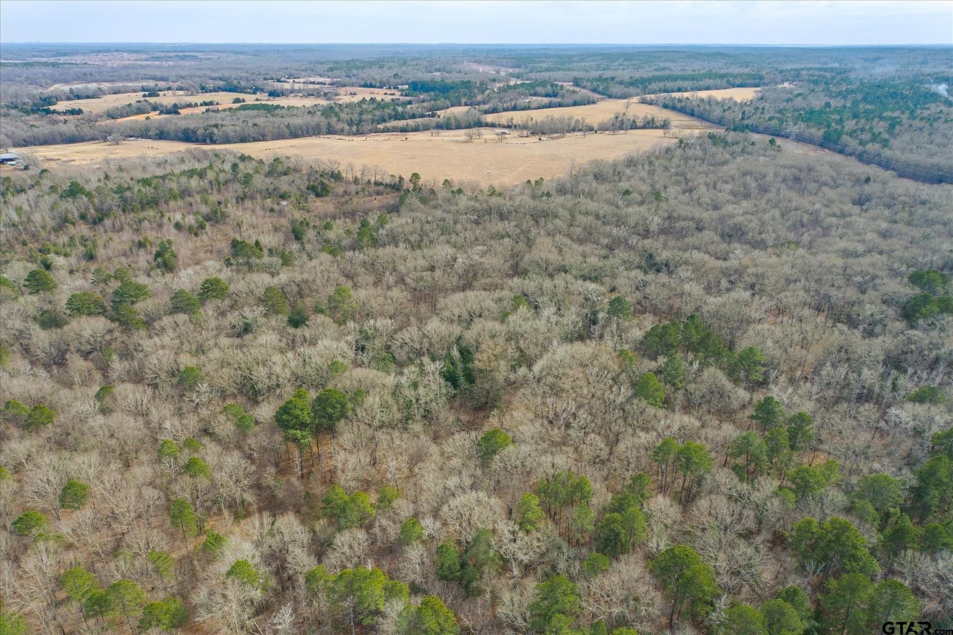 13.3 acres in Van Zandt County - photo 10