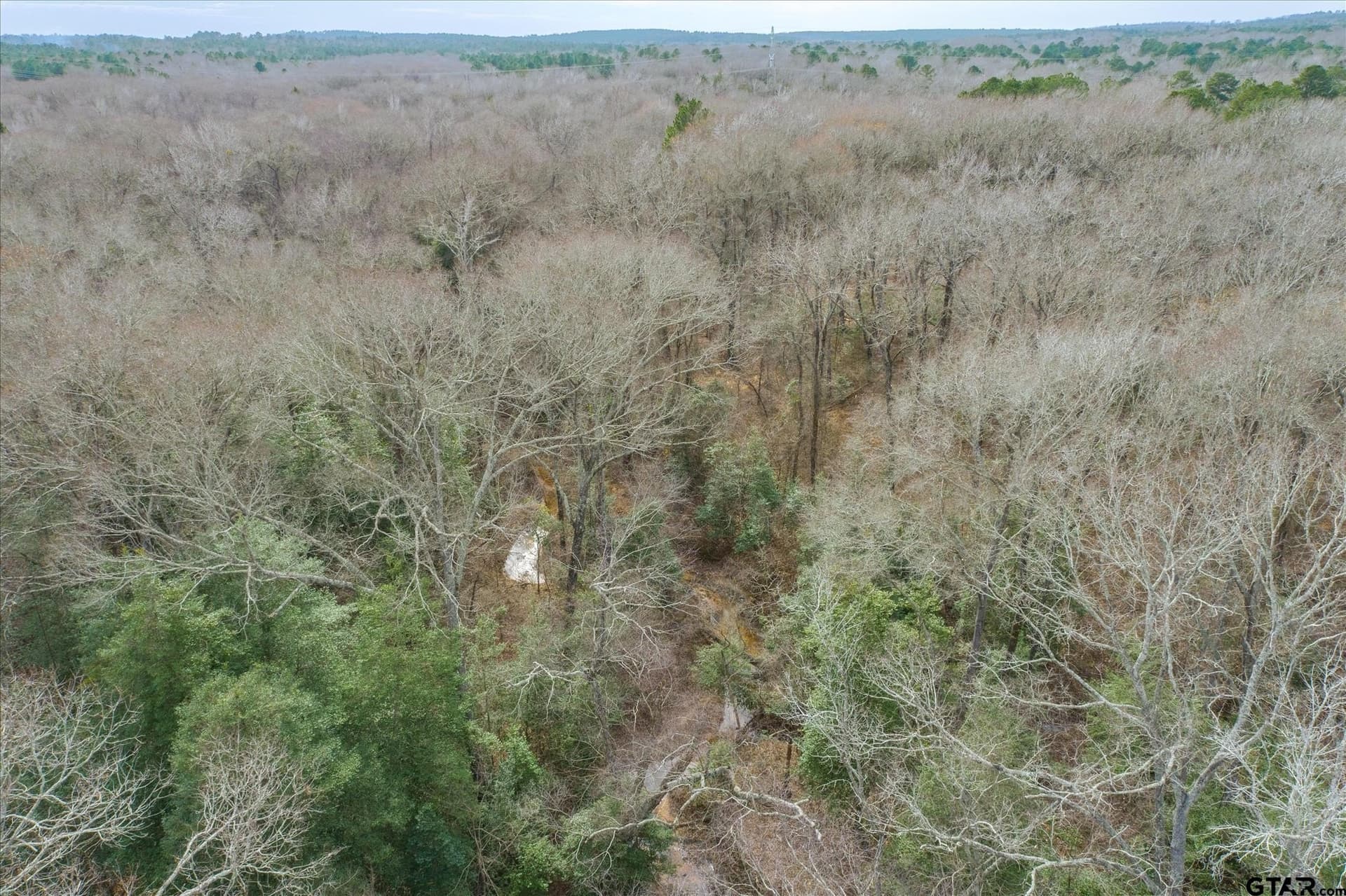 13.3 acres in Van Zandt County - photo 13