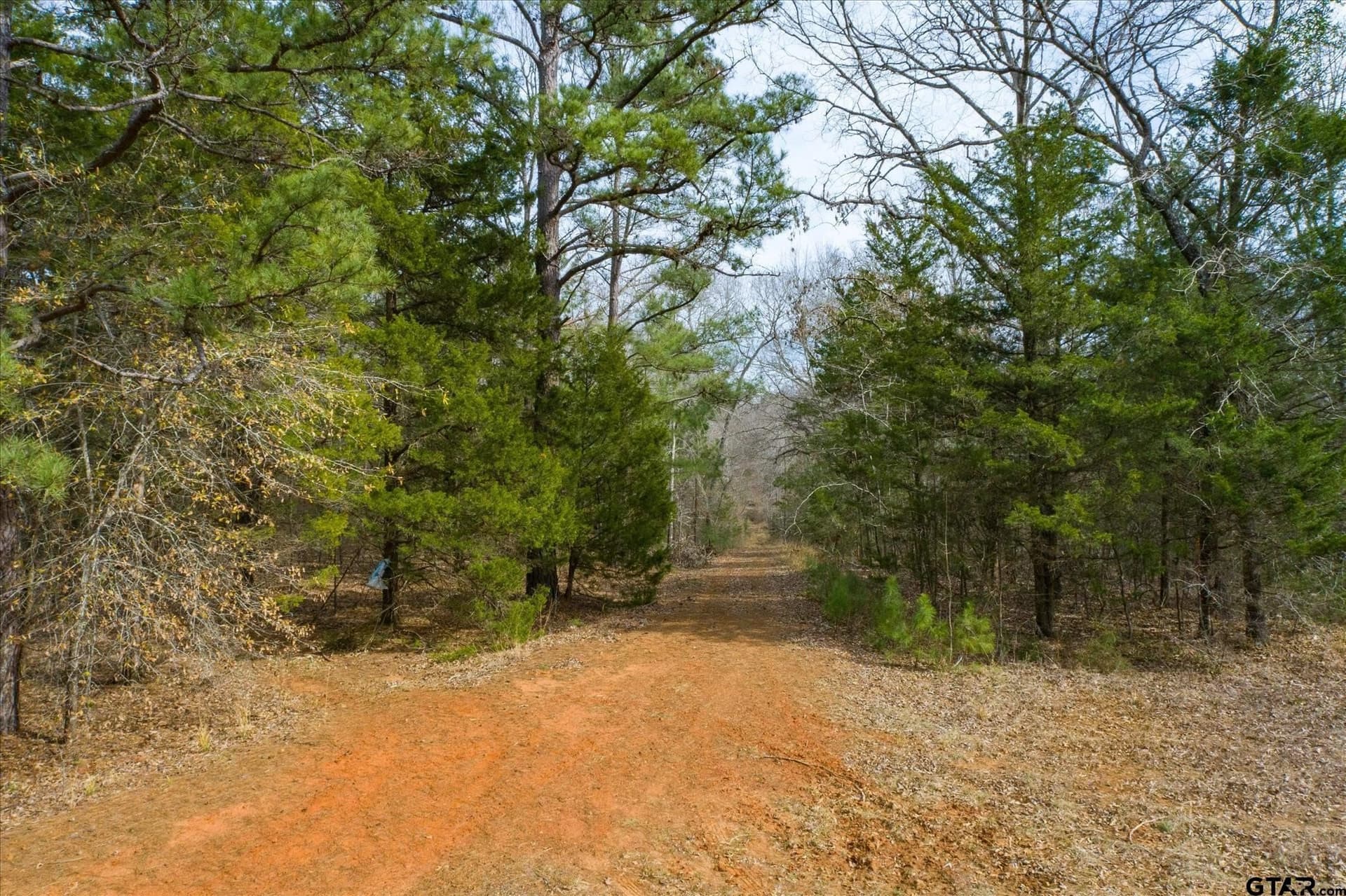 13.3 acres in Van Zandt County gallery image 2