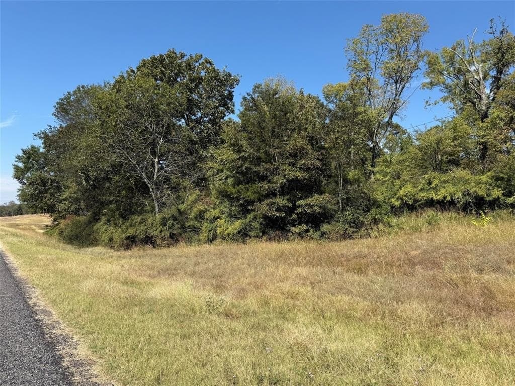 7.37 acres in Wood County gallery image 2