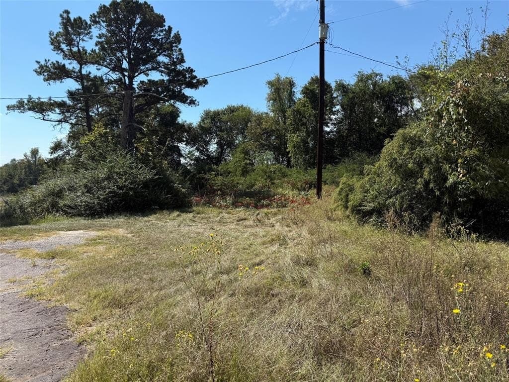 7.37 acres in Wood County gallery image 3