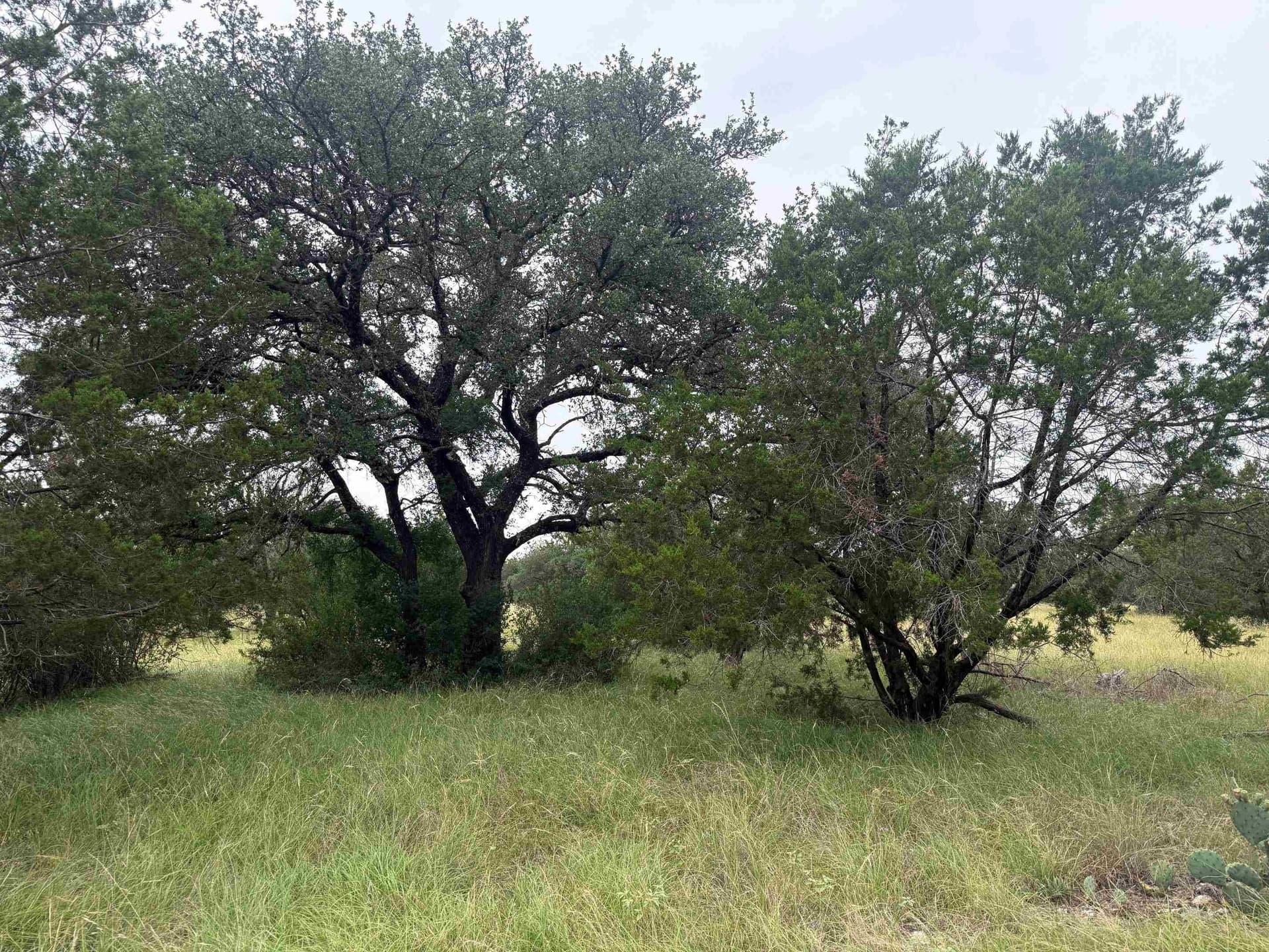 0.23 acres in Llano County gallery image 2
