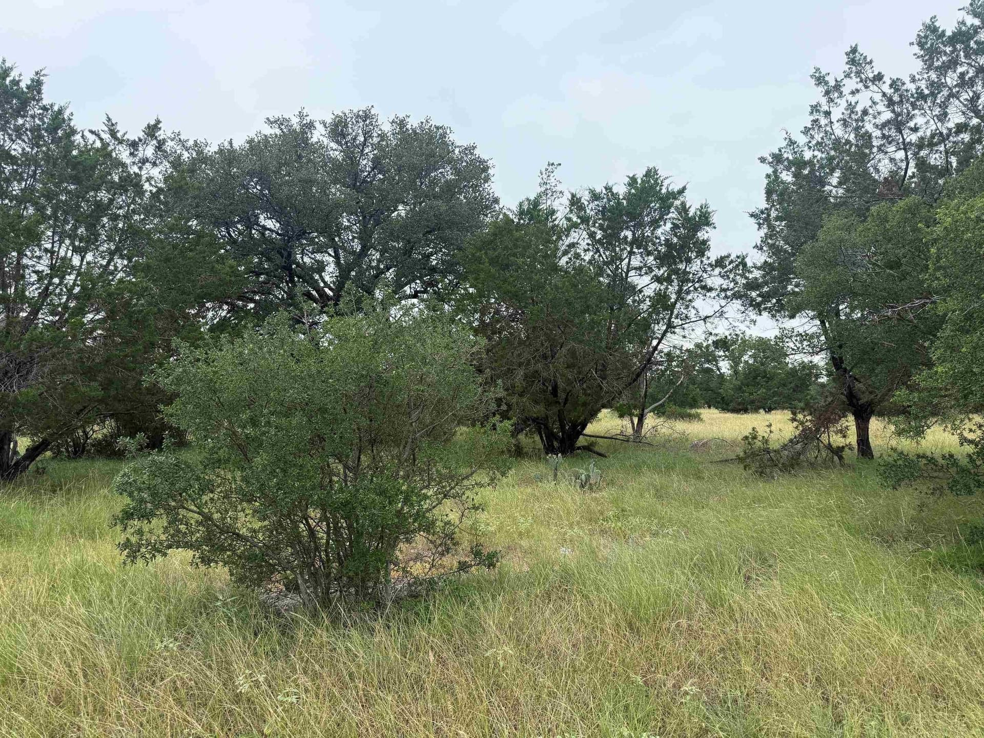 0.23 acres in Llano County gallery image 3