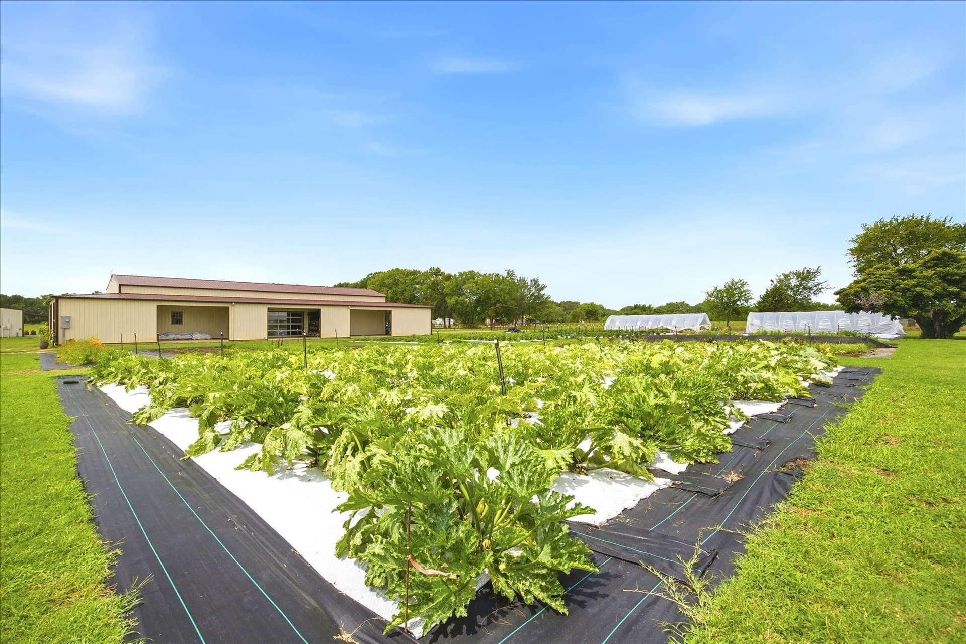 7.7 acres in Rains County - photo 8
