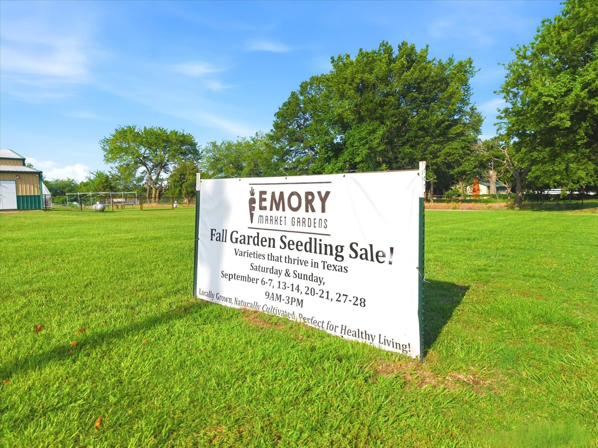 7.7 acres in Rains County - photo 39