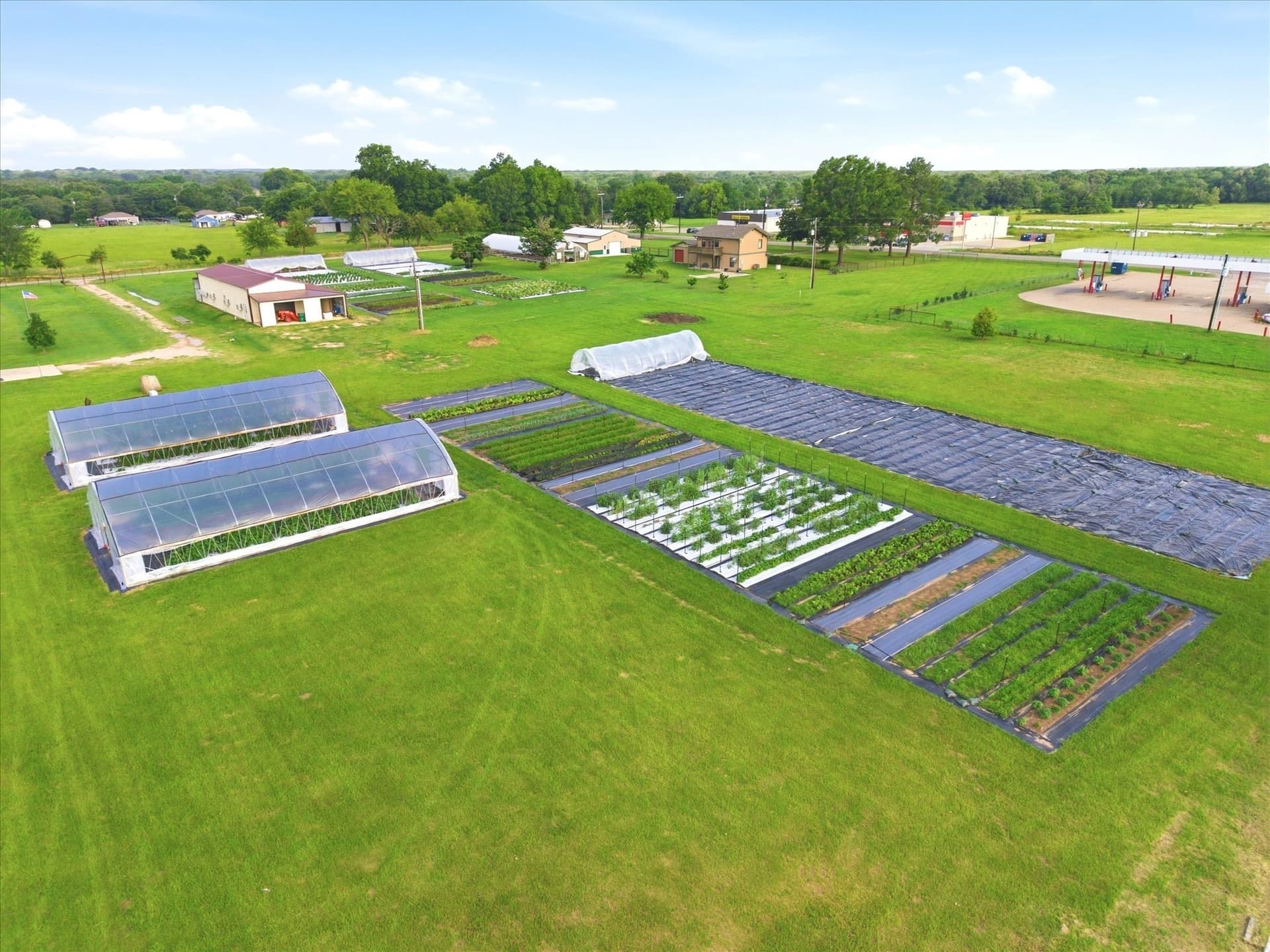 7.7 acres in Rains County - photo 9