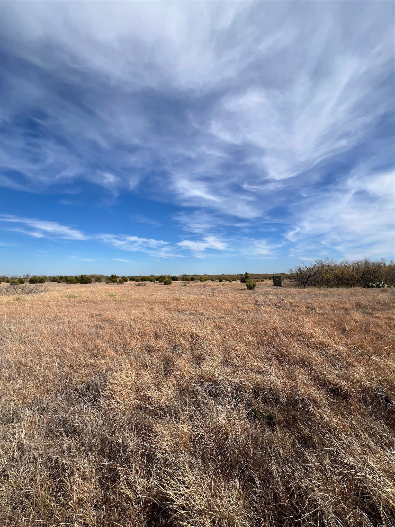 25 acres in Coleman County gallery image 4