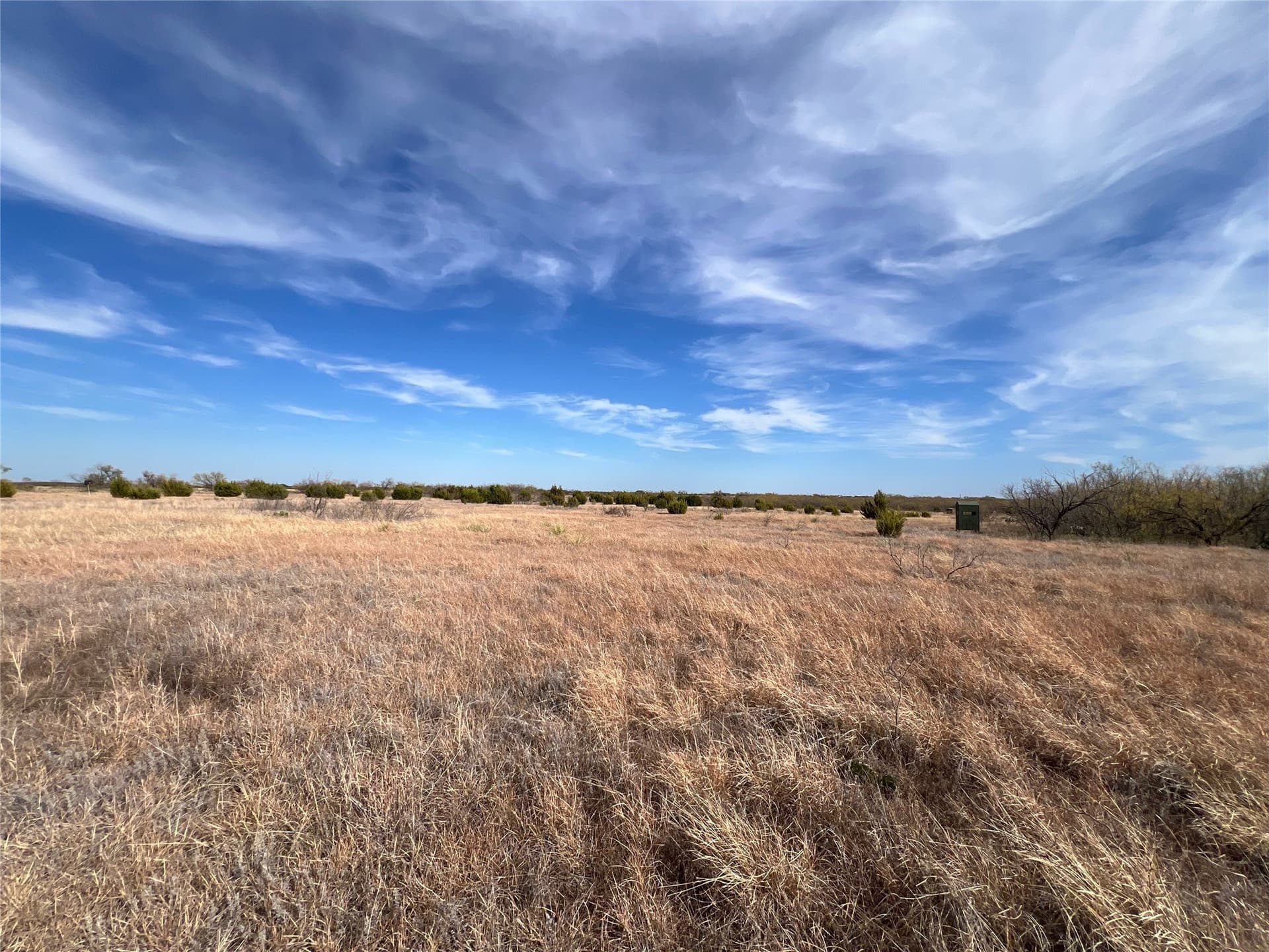 25 acres in Coleman County gallery image 2