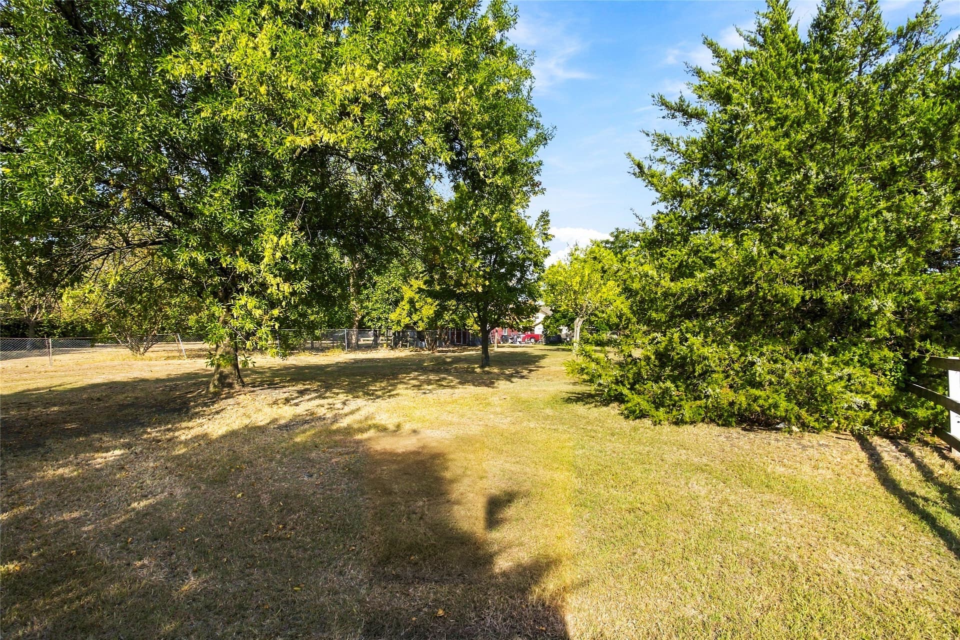 0.29 acres in Dallas County - photo 5