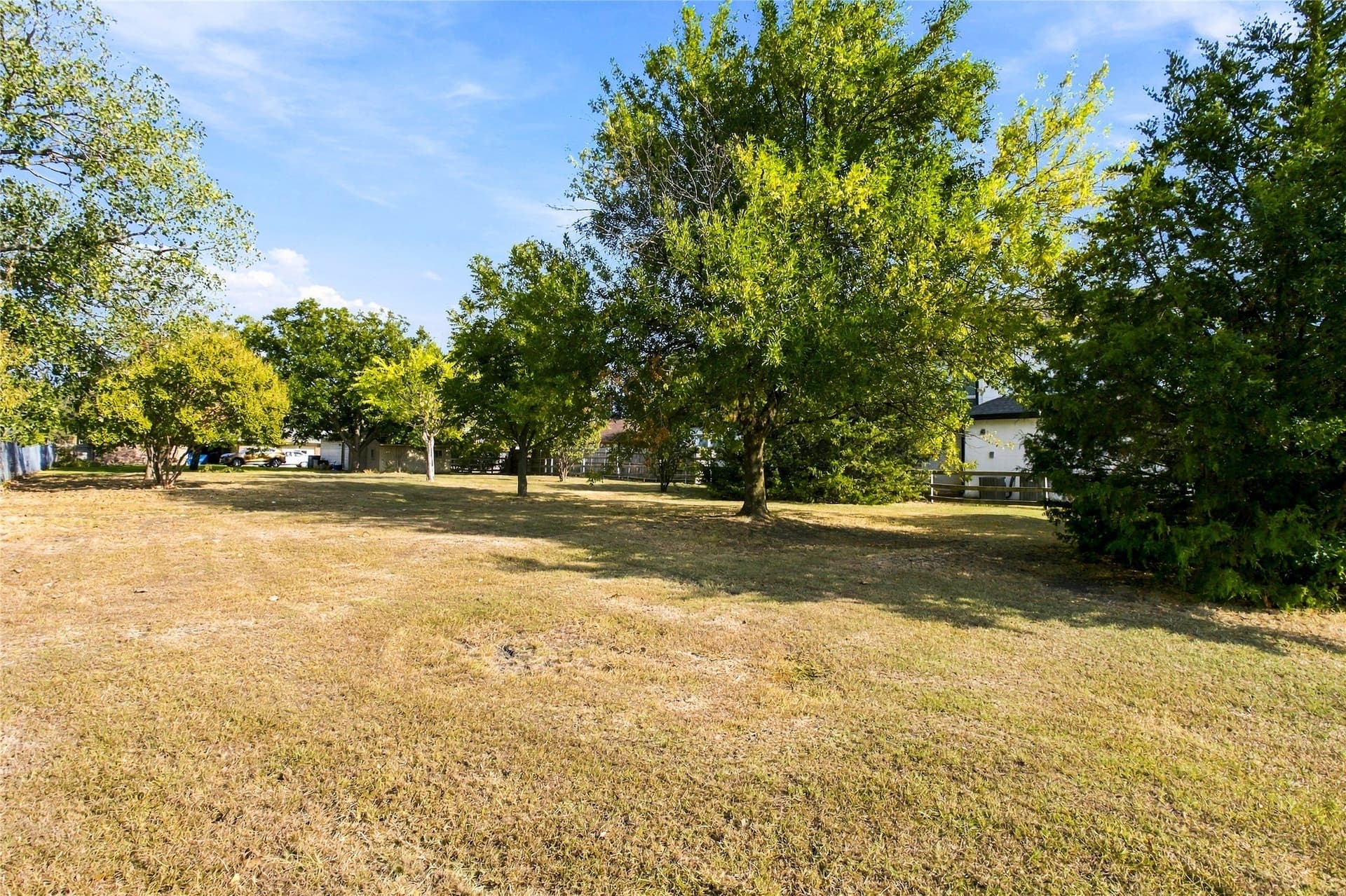 0.29 acres in Dallas County - photo 2