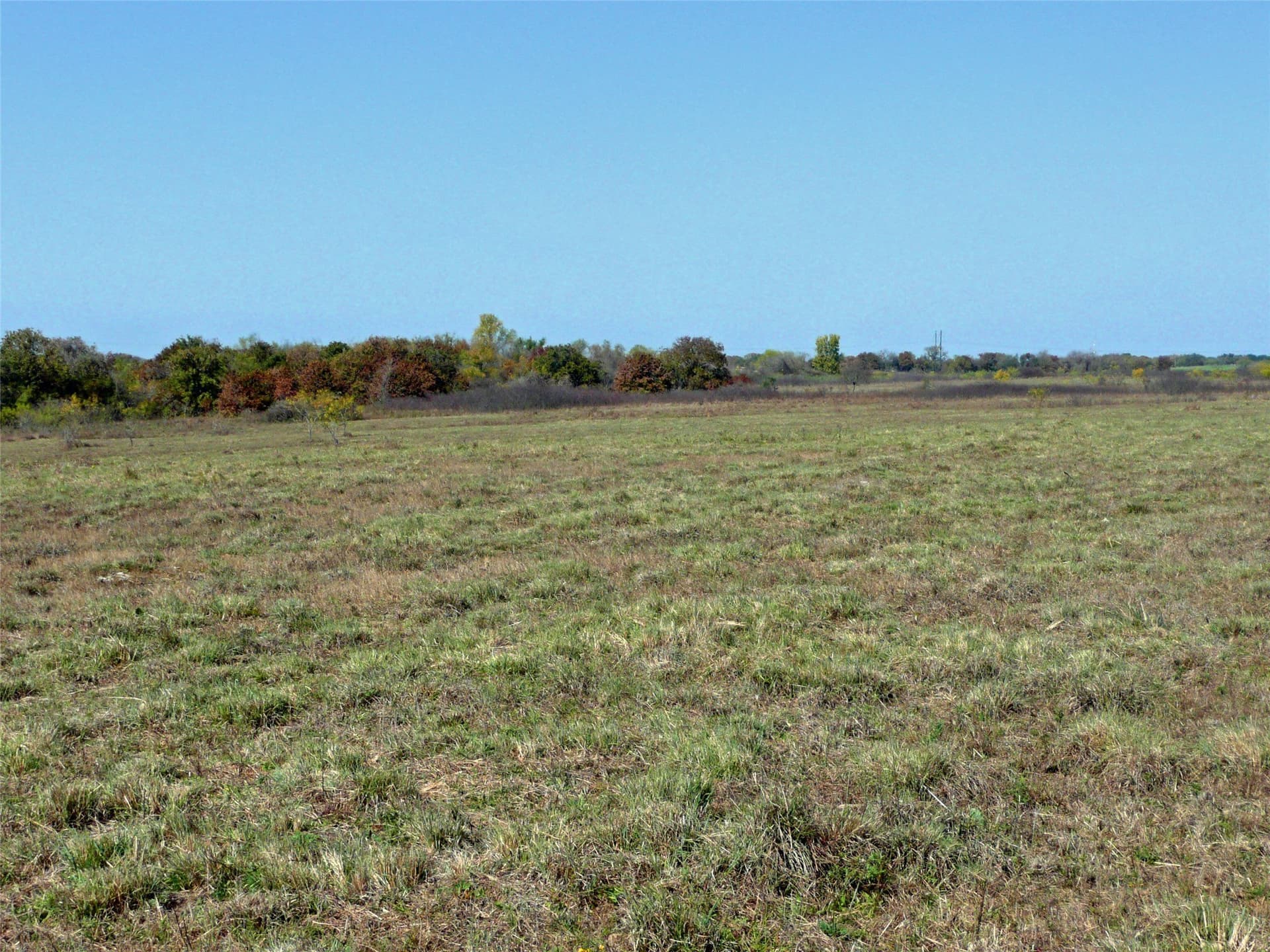 70.01 acres in Erath County - photo 4