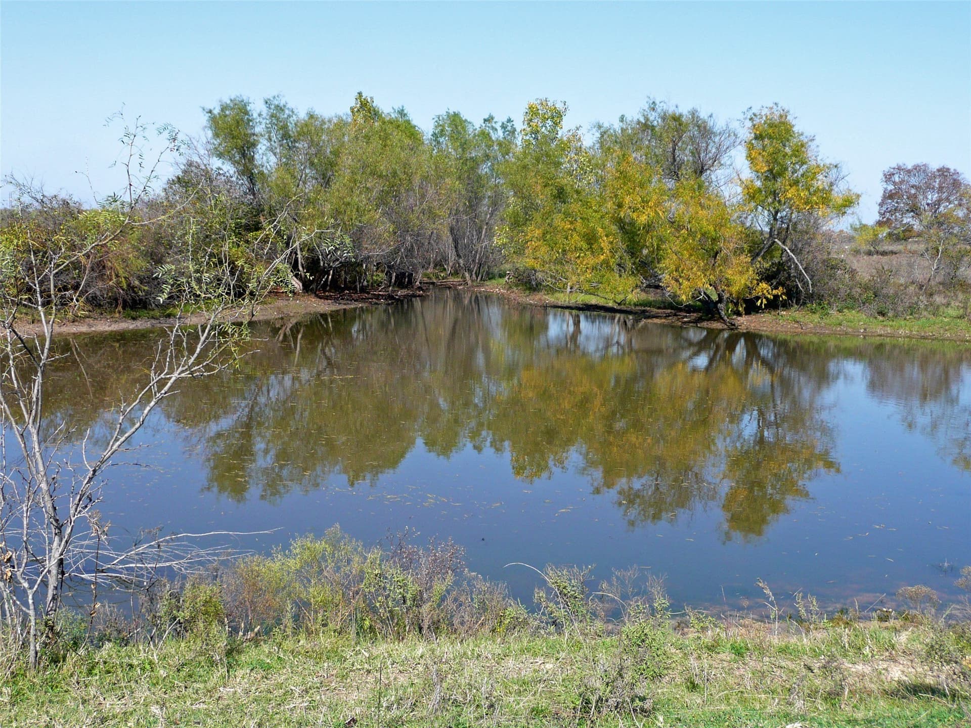 70.01 acres in Erath County - photo 5
