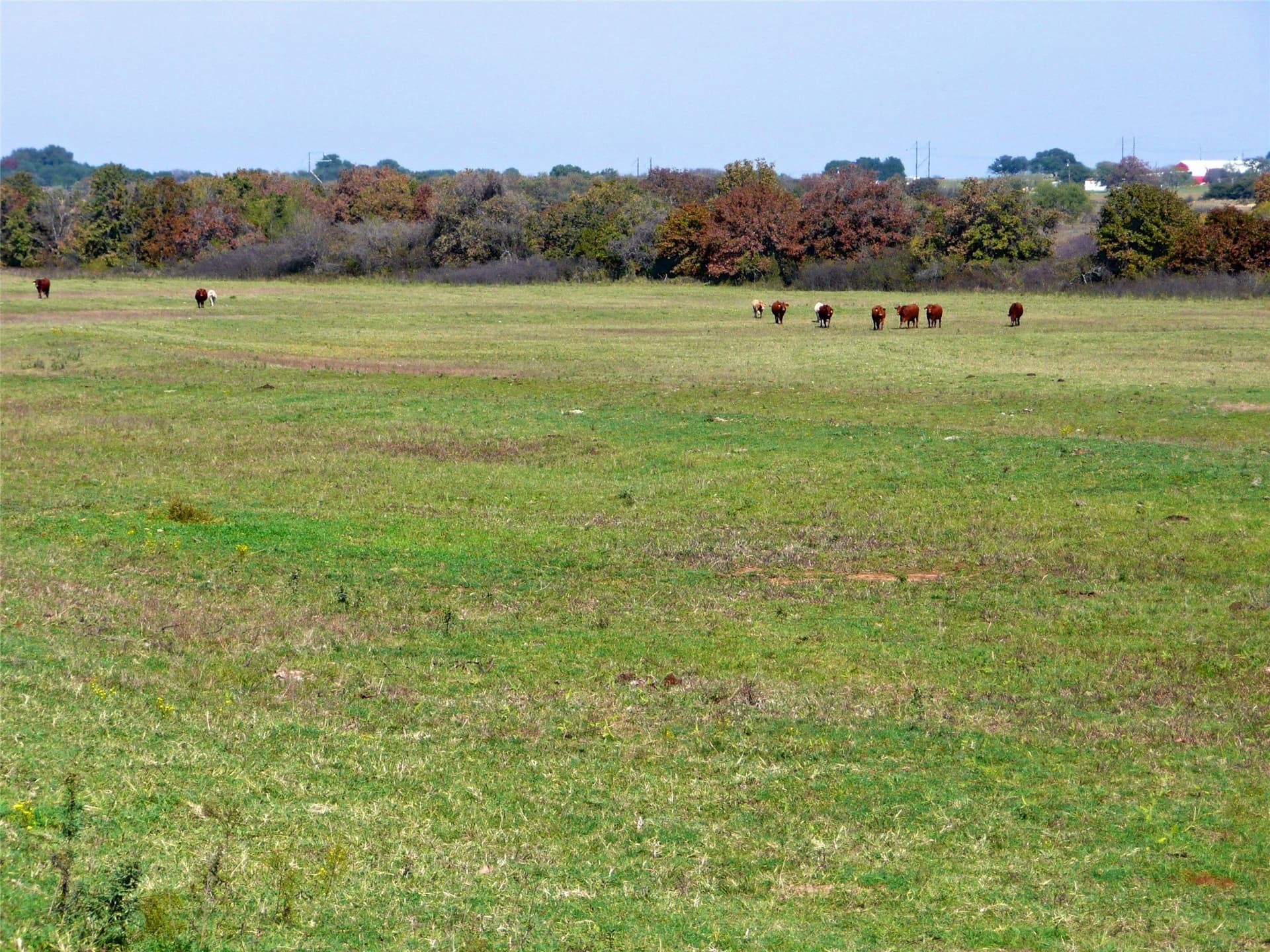 70.01 acres in Erath County - photo 3