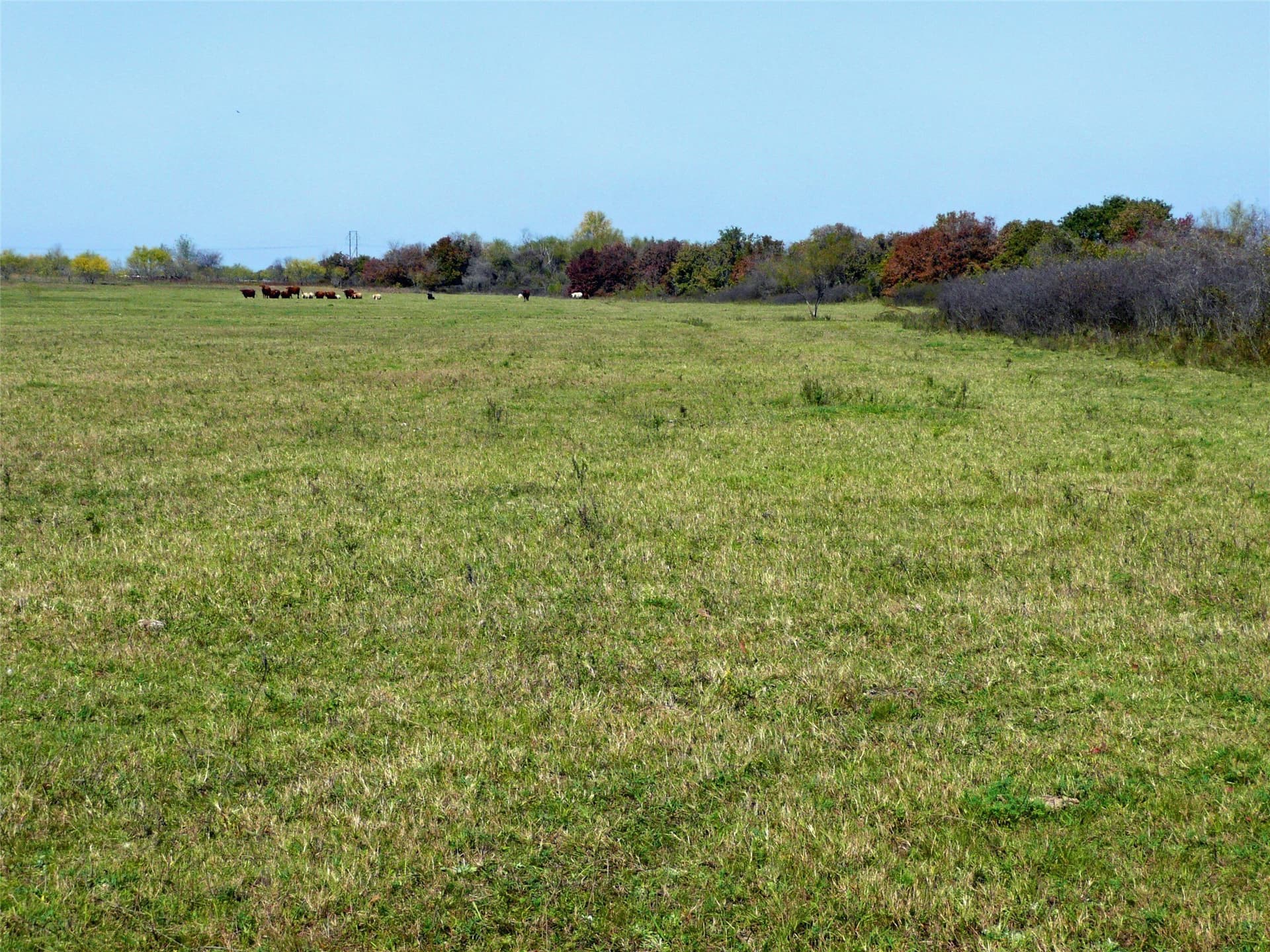 70.01 acres in Erath County - photo 2