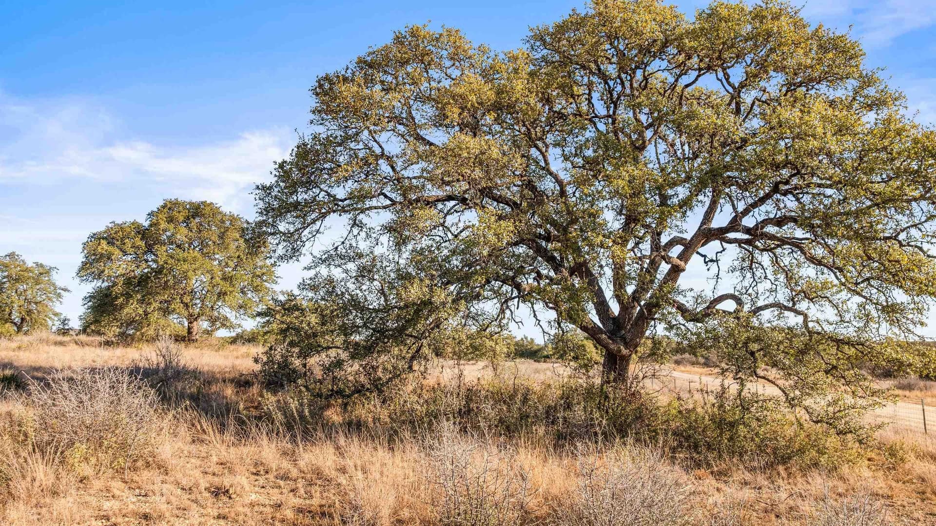 10.12 acres in Blanco County