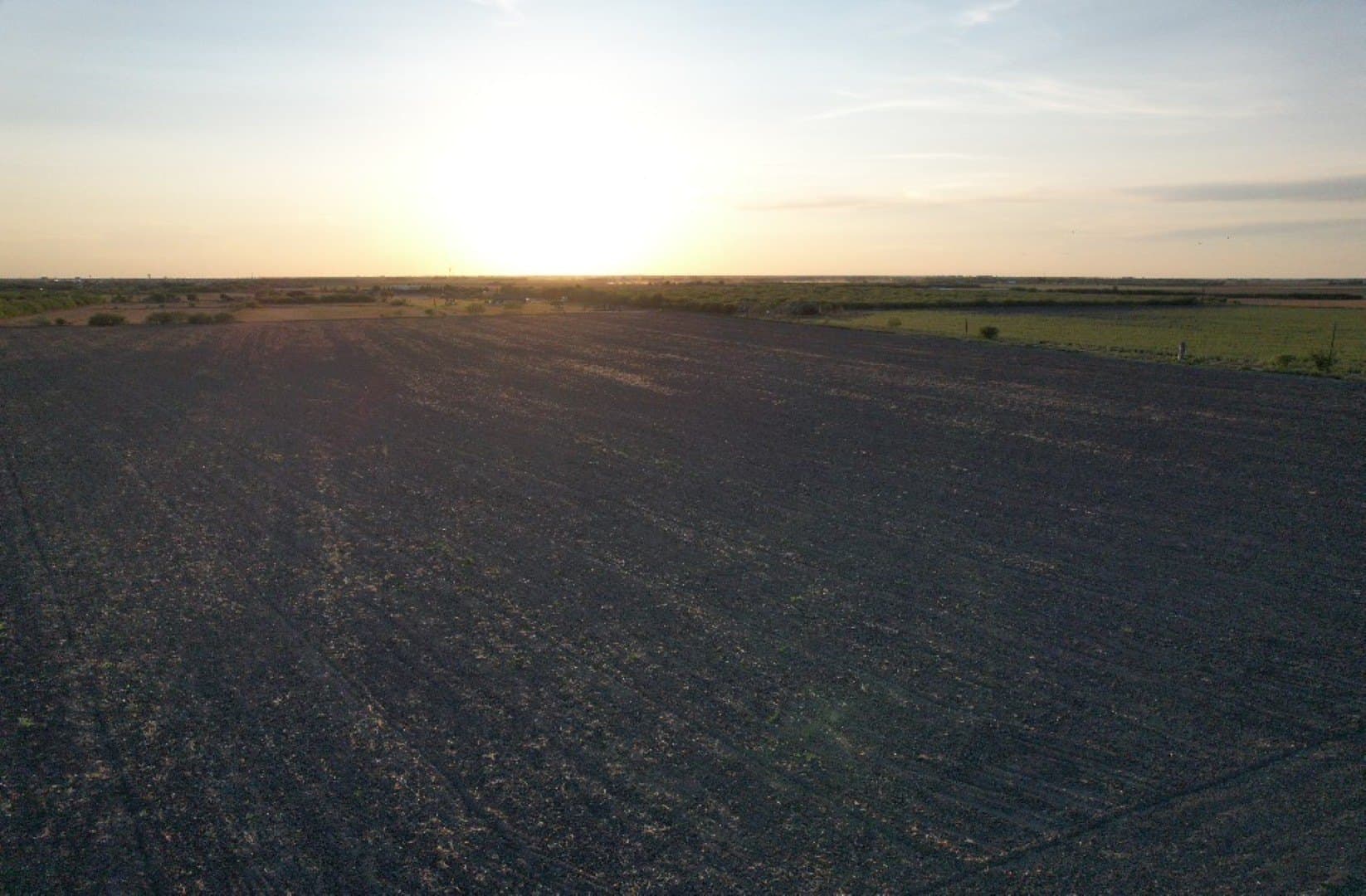 20 acres in Cameron (TX) County - photo 2