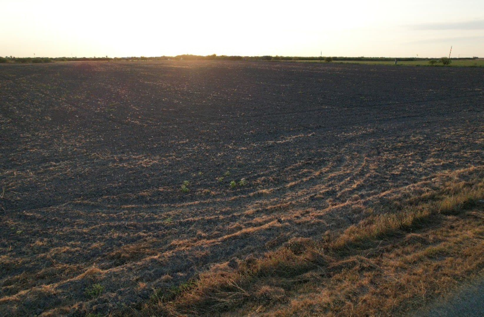 20 acres in Cameron (TX) County - photo 5