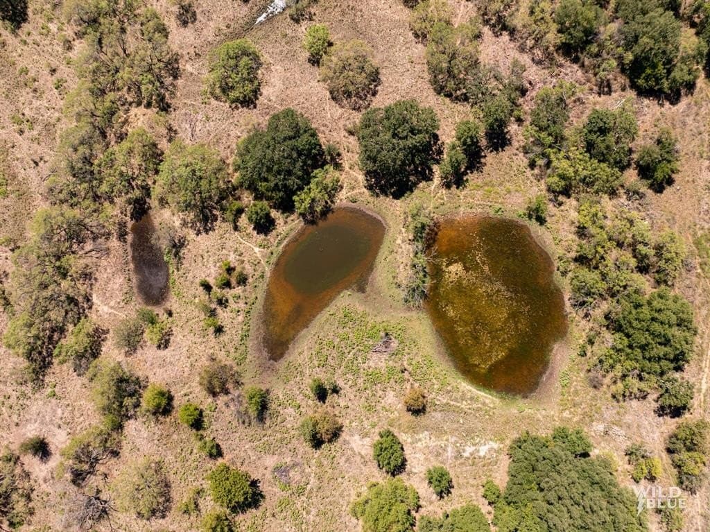 134.25 acres in Brown County gallery image 4