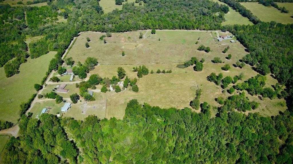 15.11 acres in Camp County gallery image 3