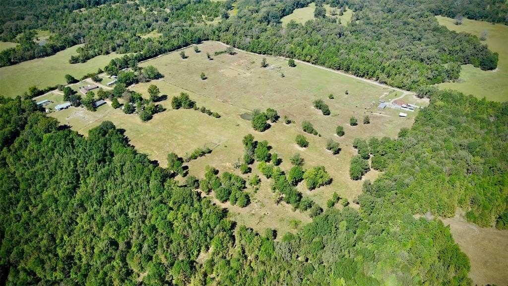 15.11 acres in Camp County gallery image 4