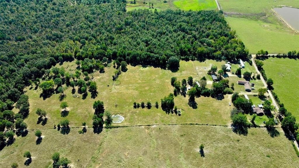 15.11 acres in Camp County featured view