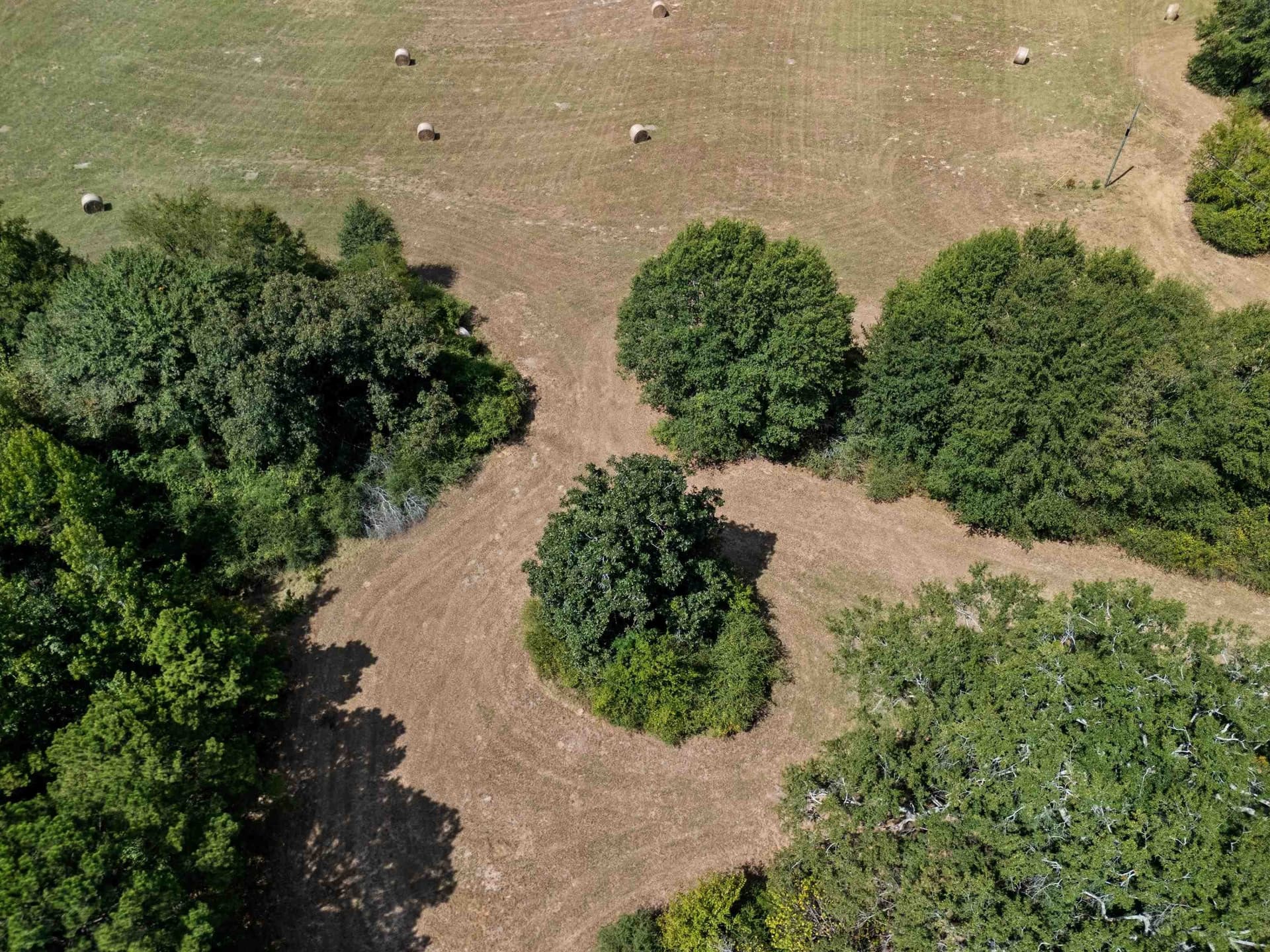 21.05 acres in Texas County - photo 12